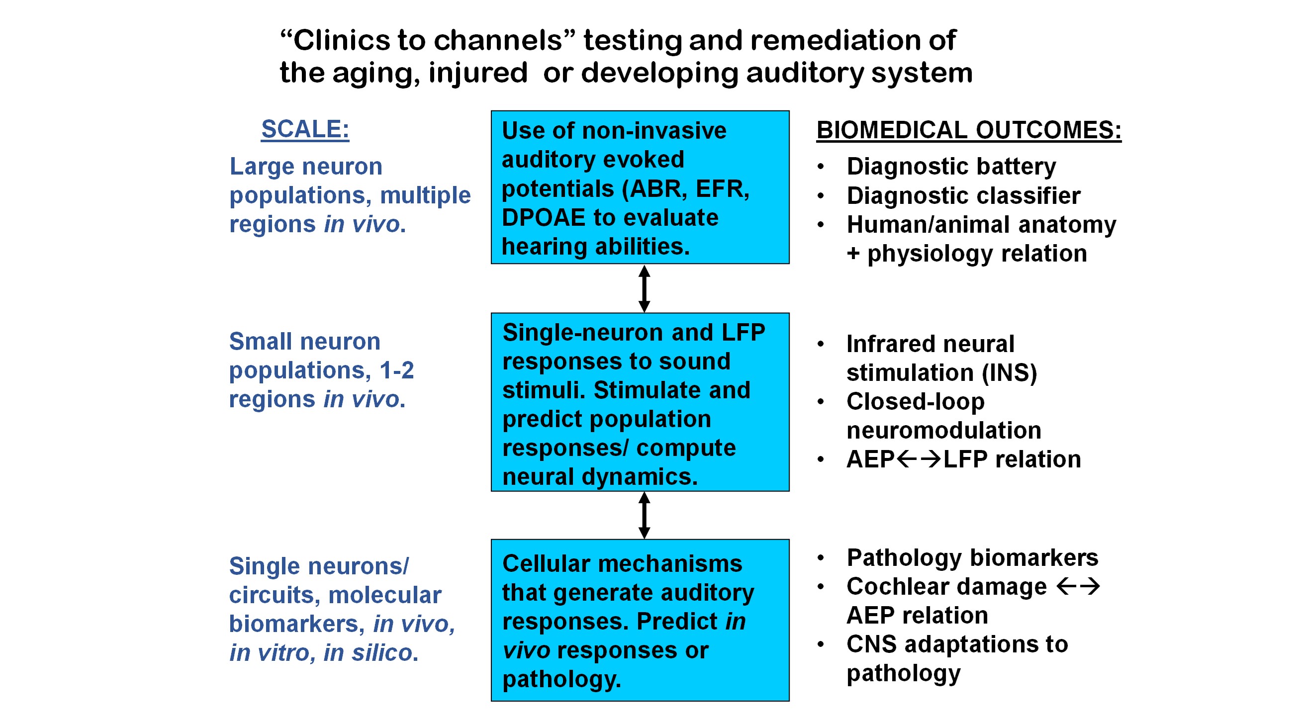 Read more: Central Auditory Processing Lab – Ed Bartlett